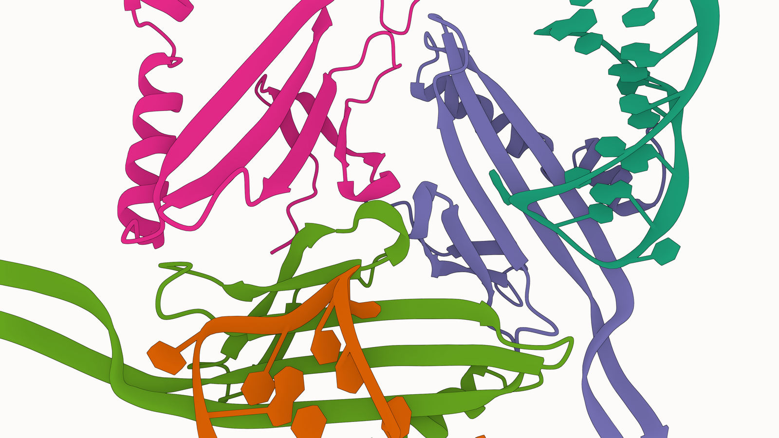 Bacteriophages — image