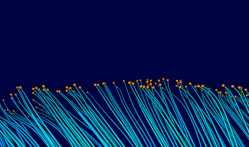Under the sea — image