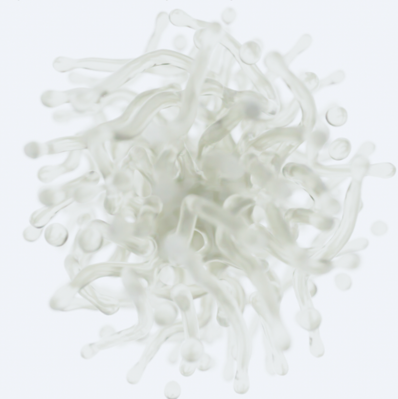 Morphogenèse — image